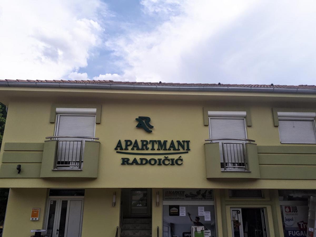 Apartmani Radoicic Josanicka Banja Buitenkant foto
